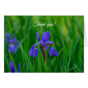 Blue Dutch Among Leaves Thank You Card