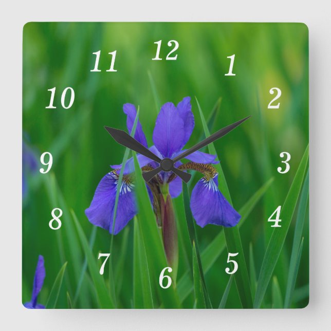 Blue Dutch Among Leaves Wall Clock (Front)