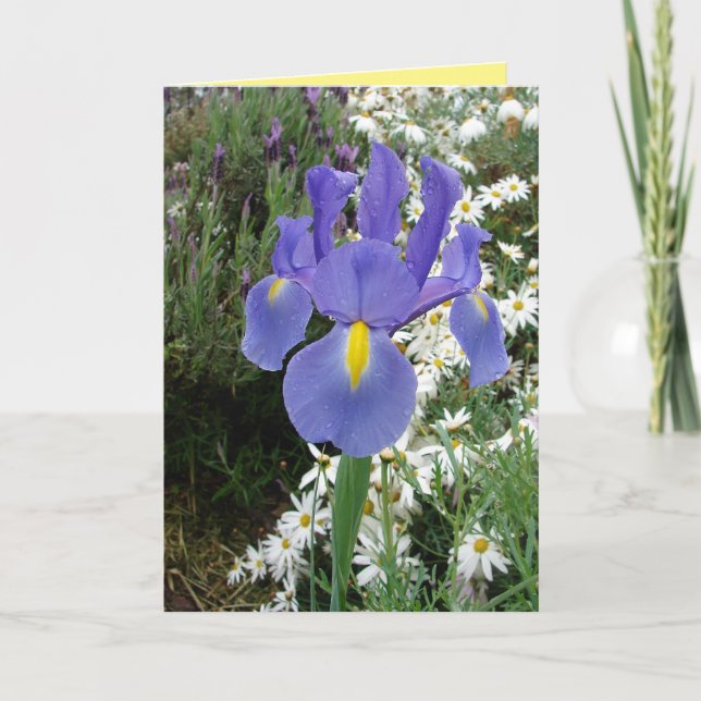 Blue Dutch Iris Flowers Floral Card (Front)