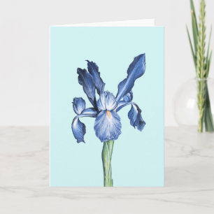 Blue Dutch Iris - Thank You Card