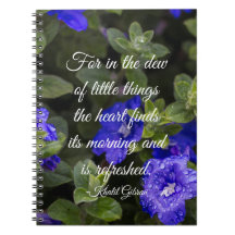 Blue Dwarf Morning Glory Inspirational Quote