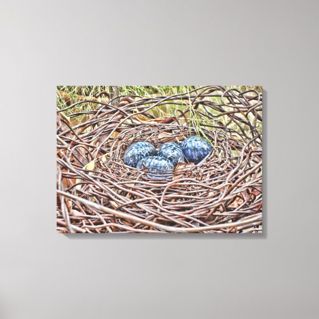 Blue Eggs In Nest Wrapped Canvas (Front)