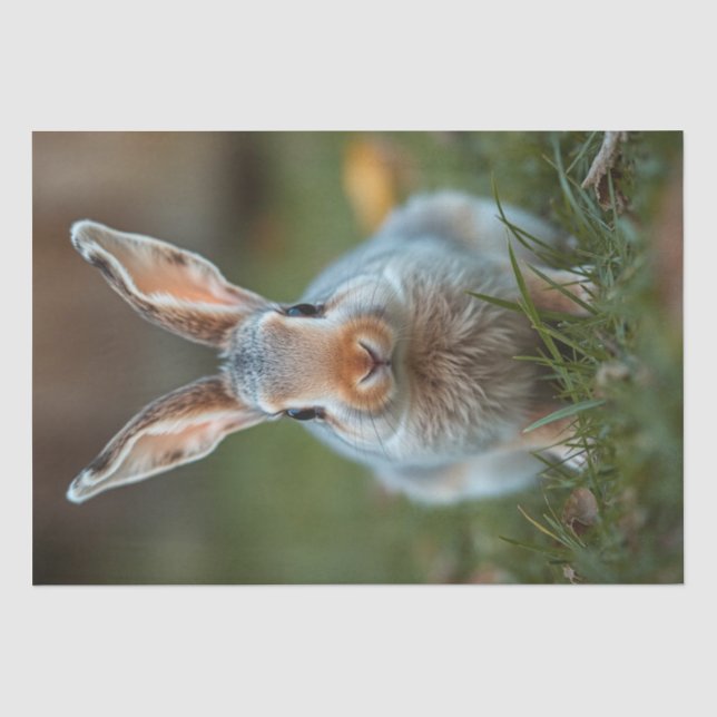 "Blue Elegance: The Russian Bunny" Tissue Paper (Front)