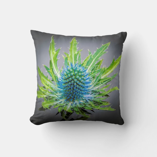 Blue Eryngium cushion (Front)