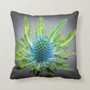 Blue Eryngium cushion