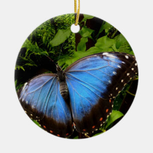 blue exotic butterfly ceramic ornament