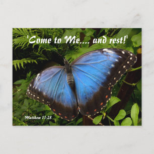 Blue exotic butterfly postcard
