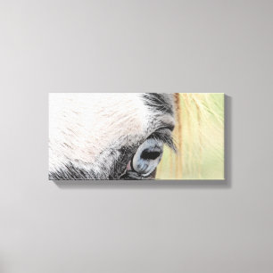 Blue Eye Canvas Print