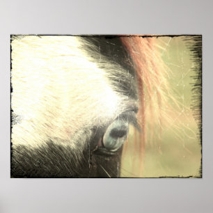 Blue Eye Grunge Poster