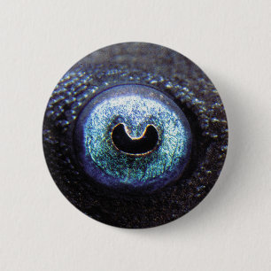 Blue Eye Plecoの缶バッジ 2 Inch Round Button