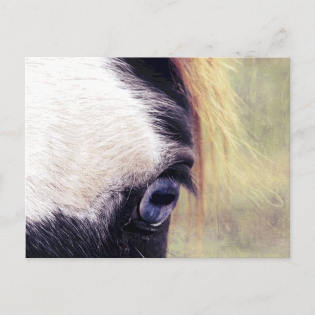 Blue Eye Postcard (Front)