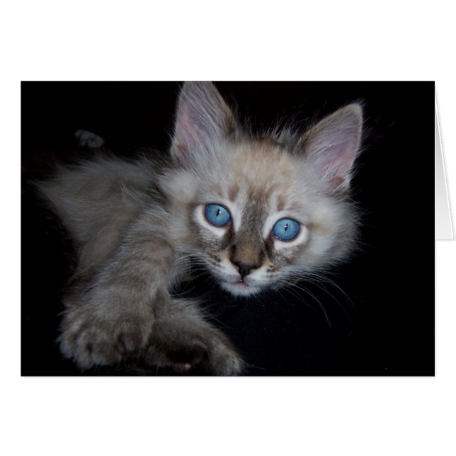 Blue-Eyed Baby Boy (Front Horizontal)