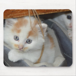 Blue Eyed, Brown and White patched Kitten in boot Mouse Pad