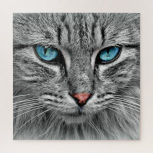 Blue Eyed Cat - Jigsaw Puzzle