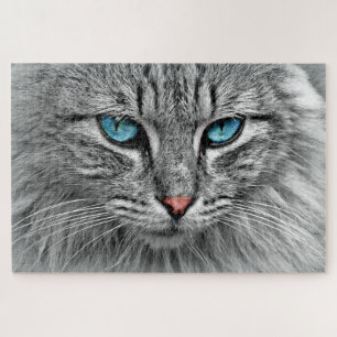 Blue Eyed Cat - Jigsaw Puzzle