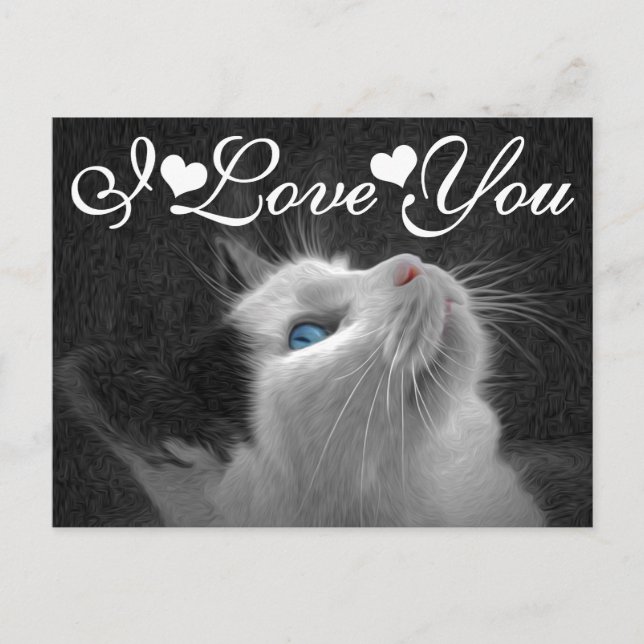 Blue Eyed Cat Photo Image I Love You Postcard (Front)
