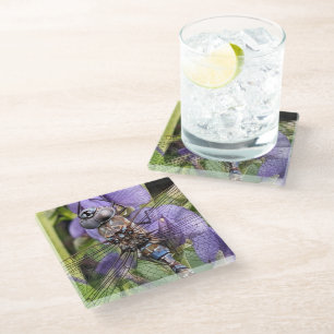 Blue-Eyed Darner Dragonfly on Flower Glass Coaster