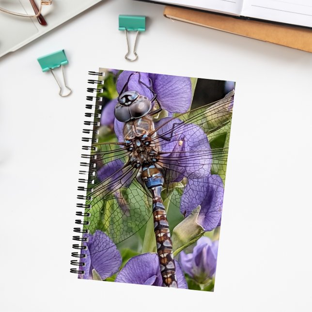 Blue-Eyed Darner Dragonfly on Flower Notebook (In Situ)