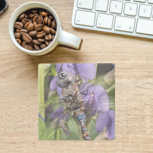 Blue-Eyed Darner Dragonfly on Purple Flowers Stone Coaster