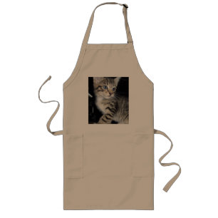 Blue Eyed Fluffy Grey Kitten, Long Apron