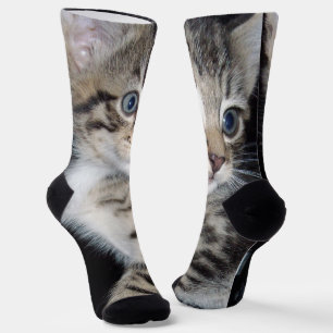Blue Eyed Fluffy Kitten, Crew Socks