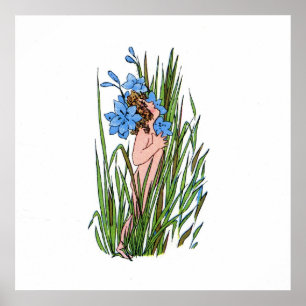 Blue-Eyed Grass Poster