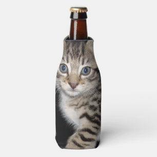 Blue Eyed Grey Fluffy Kitten, Bottle Cooler