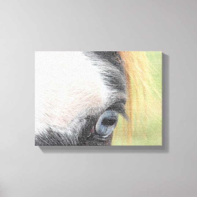 Blue Eyed Horse Canvas Print (Front)