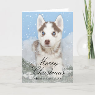 Blue eyed husky puppy sitting in snow holiday card