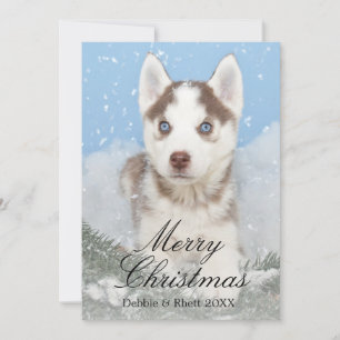 Blue eyed husky puppy sitting in snow holiday card