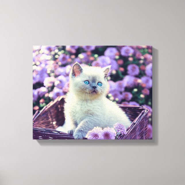 Blue Eyed Kitten Cat In Basket With Purple Flowers Canvas Print (Front)