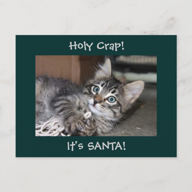 Blue Eyed Kitten Santa Postcard (Front)