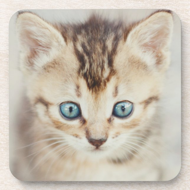 Blue Eyed Kitty Coaster (Front)