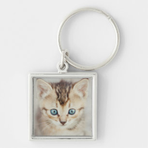 Blue Eyed Kitty Keychain