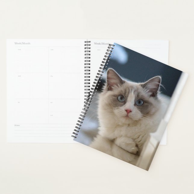 Blue Eyed Kitty Planner (Display)