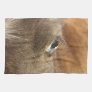 Blue Eyed Mini Horse Filly Kitchen Towel