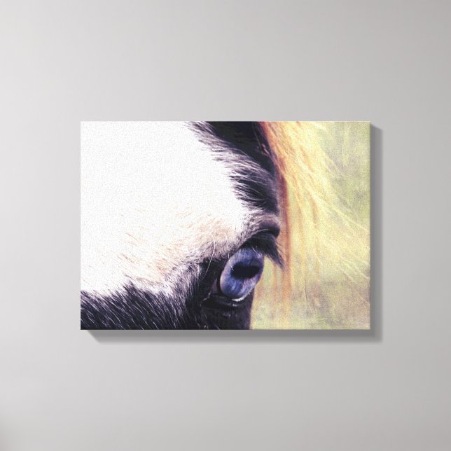 Blue Eyed Paint Canvas Print (Front)