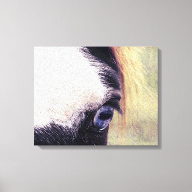 Blue Eyed Paint Horse Canvas Print (Front)