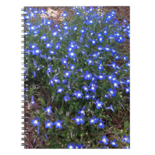 Blue Eyed Palace Lobelia Notebook