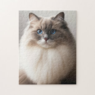 Blue-Eyed Ragdoll Cat   Fluffy Luxury  Jigsaw Puzzle