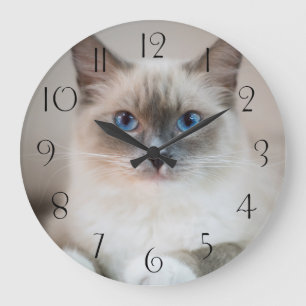 Blue Eyed Ragdoll‎ Cat Large Clock