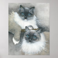 Blue Eyed Ragdoll Cat watercolor