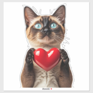 Blue Eyed Siamese Cat With Heart Of Love Cute 🐱