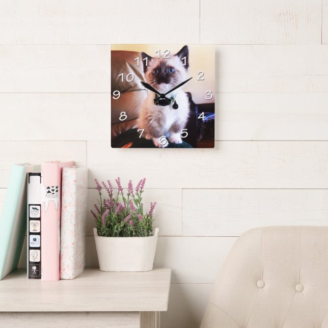 Blue Eyed Siamese Kitten Photograph Square Wall Clock (Reading Room)