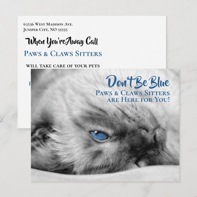 Blue Eyed Siamese Pet Sitter's Custom Postcard (Front/Back)