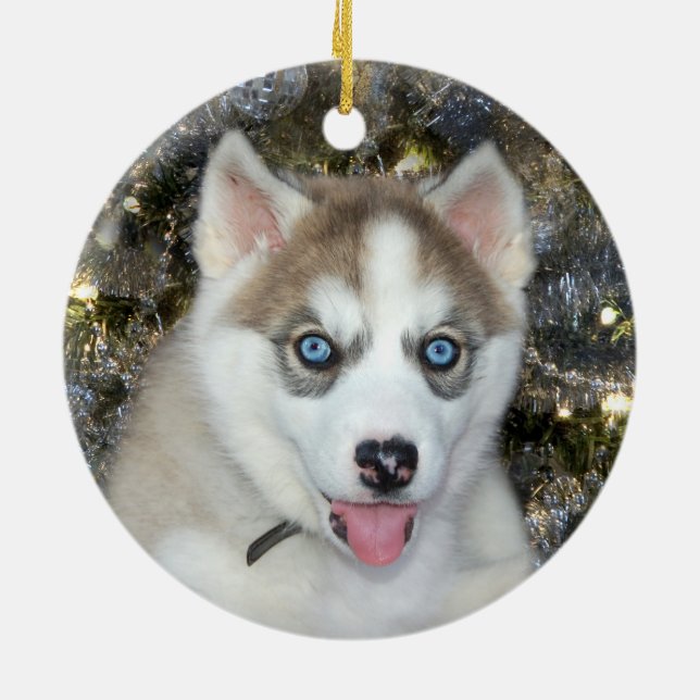 Blue eyed Siberian Husky Christmas Ceramic Ornament (Back)