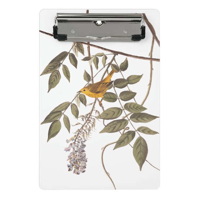 Blue-Eyed Yellow Warbler Audubon Bird on Wisteria Mini Clipboard (Front)