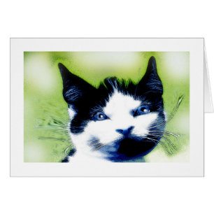 Blue eyes greetings card