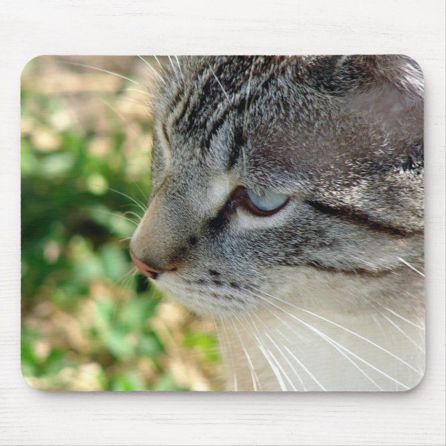 Blue Eyes Kitty Mouse Pad (Front)
