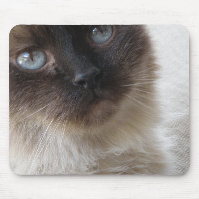 Blue Eye's Kitty Mousepad (Front)